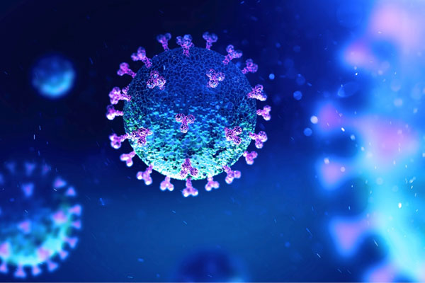Digital image of a virus cell